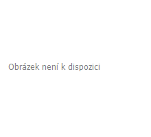 Camino 6 cm, skladebná dlažba z vícero kamenů, corato, Ferobet